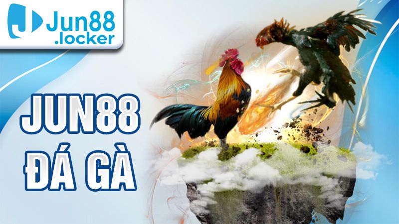 Jun88 Đá Gà